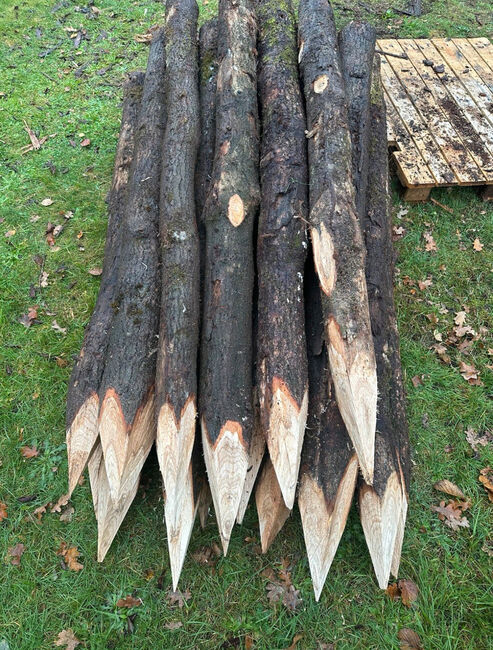 Zaunpfähle Rundpfähle Eichenpfähle Pferdezaun Weidepfähle Koppelzaun, Holz Mügge Zaunpfähle Rundpfähle Eichenpfähle Pferdezaun Weidepfähle Koppelzaun, Kjell Mügge, Weidezaunzubehör, Elmshorn 
