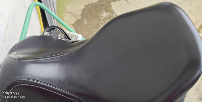 Sehr schöner klassischer Dressursattel von Amerigo 17" top Zustand, Amerigo  Basso, Katja Presch, Dressage Saddle, Sankt Koloman, Image 13