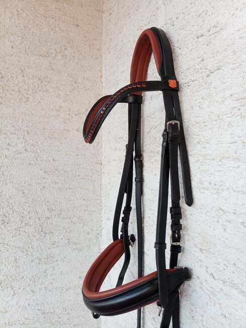 Sehr schöne Trense, Horsecode, Aline Betz, Bridles & Headstalls, Stegen