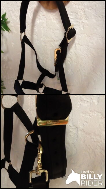 Sehr stabiles Neoprene-Halfter, "Comfort" von Bucas, neuwertig, Bucas Comfort, H.B., Halters, Rengsdorf, Image 3