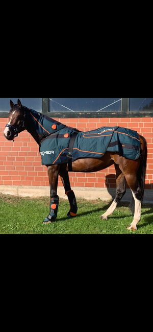 Bemer Horse Set Premium, Bemer Horse Set Premium, Mirjam Wrede (Reittherapie ), Derki dla konia, WESERTAL