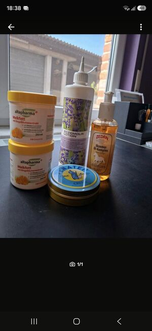 Ekzemer Pflegeset, Larissa, Pielęgnacja konia, Hofgeismar