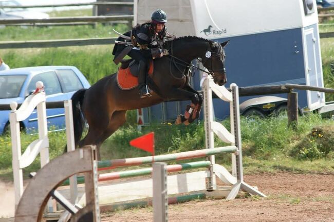 Set für Training, Turnier Dressur und Springen, Karin , Pozostałe, Wattenheim, Image 7