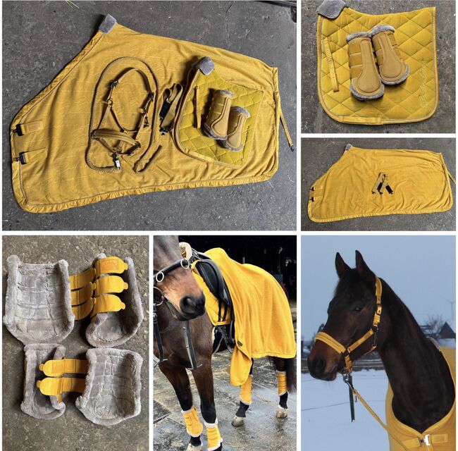 Eskadron Set Vintage Gold DR L WB, Eskadron Vitage Gold Velvet, J.Witt, Czapraki, Übach-Palenberg
