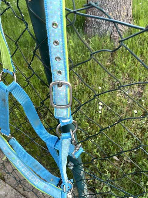 Halfter Set blau, Steeds , Ramona, Kantary, Gunzenhausen, Image 3