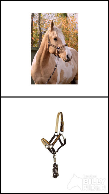 Halfter-Set "Starlet" bronze Größe Cop, Halfter-Set, Una (Horse-design), Kantary, Rot am See, Image 3