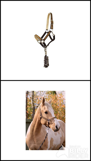 Halfter-Set "Starlet" bronze Größe Full, Halfter, Una (Horse-design), Kantary, Rot am See, Image 3