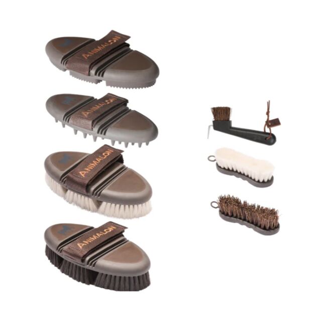 Bürsten Set Premium von Animalon inkl Mähnen Bürste, Animalon , Annette , Czyszczenie konia, Schülp bei Nortorf