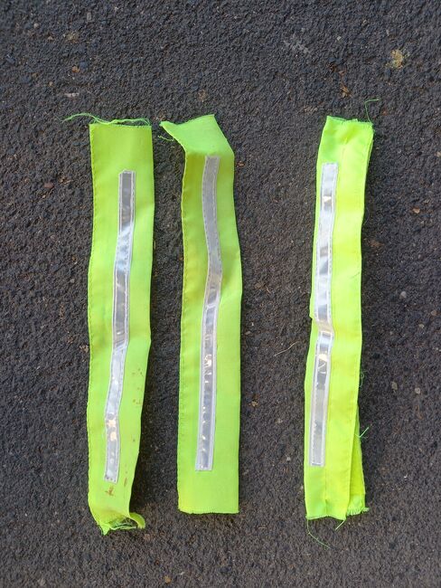 Reflex-Trensenzaum-Set (Zügel und Stirnriemen), Alexandra Busch, Odblaski, Neusorg