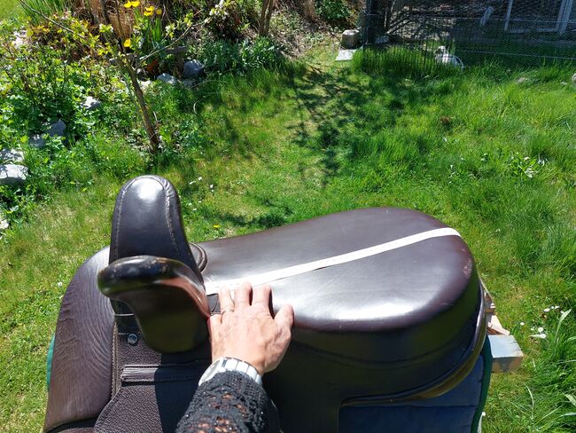 Damensattel, Melanie Heindl , Other Saddle, Tuttlingen, Image 11