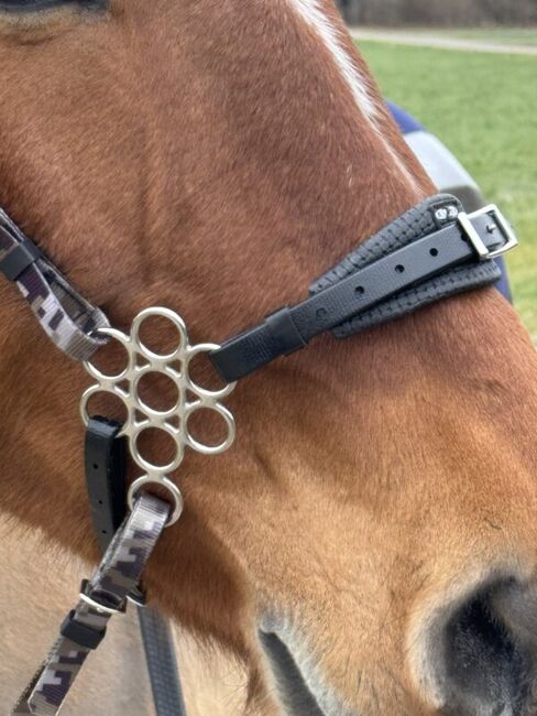 Zilco Blumen Hackamore mit Schenkel, Maya (Swisshorseshop), Trensen, Frauenfeld, Abbildung 2