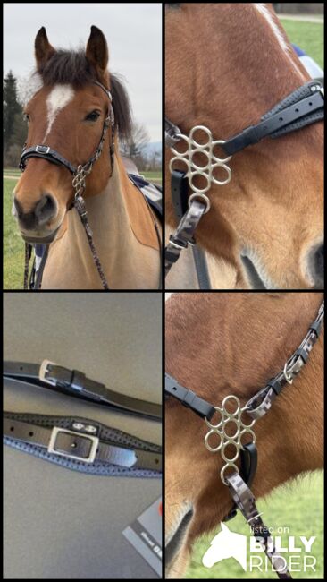 Zilco Blumen Hackamore mit Schenkel, Maya (Swisshorseshop), Trensen, Frauenfeld, Abbildung 5