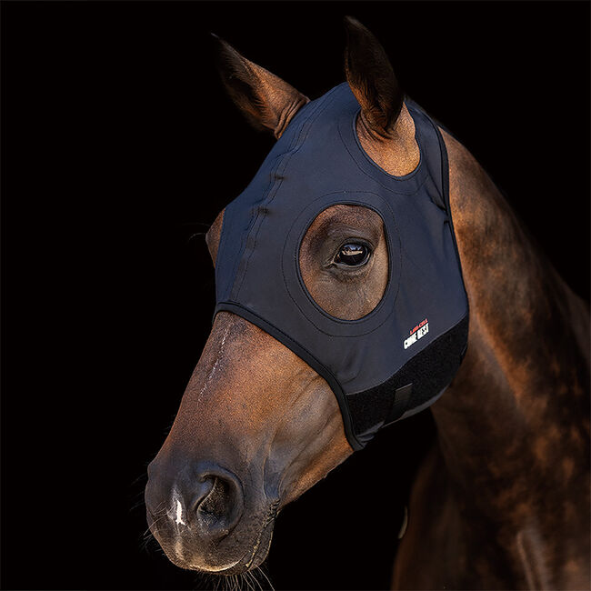Zilco Come Best Titanium Maske, Zilco , Maya (Swisshorseshop), Other, Frauenfeld, Image 3