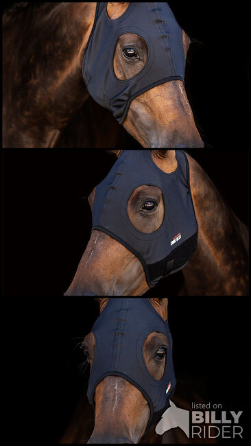 Zilco Come Best Titanium Maske, Zilco , Maya (Swisshorseshop), Other, Frauenfeld, Image 4