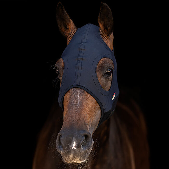 Zilco Come Best Titanium Maske, Zilco , Maya (Swisshorseshop), Other, Frauenfeld, Image 2