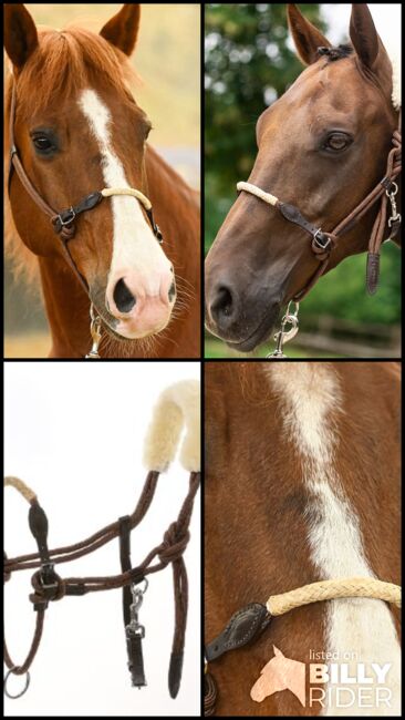 Zilco Lami-Cell Longierhalfter, Maya (Swisshorseshop), Longieren, Frauenfeld, Abbildung 6