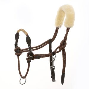Zilco Lami-Cell Longierhalfter, Maya (Swisshorseshop), Lunging, Frauenfeld, Image 2
