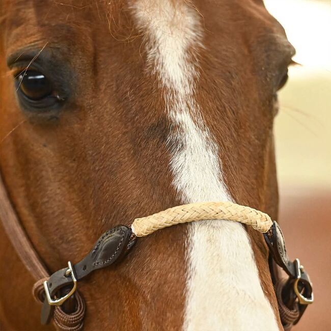 Zilco Lami-Cell Longierhalfter, Maya (Swisshorseshop), Lunging, Frauenfeld, Image 4