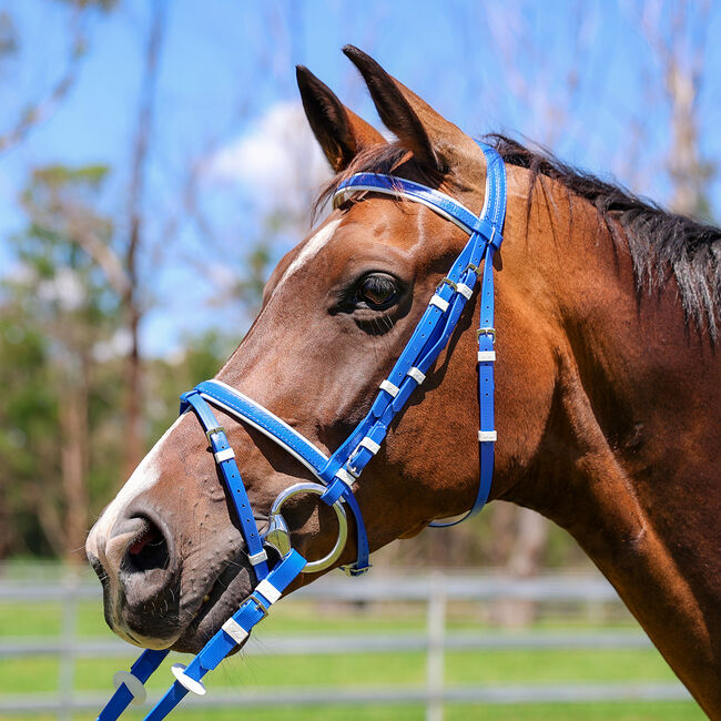 Zilco Kunststoff Ponyzaum ROYALBLAU-WEISS, Zilco, Maya (Swisshorseshop), Bridles & Headstalls, Frauenfeld