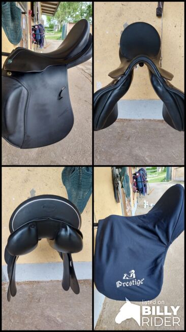 Neuwertiger Prestige Roma VSD Sattel 17,5 Zoll, Prestige  Roma VSD , Sarah , All Purpose Saddle, Tettenweis, Image 19