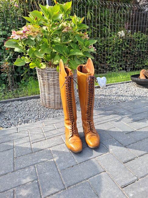Neuwertige Reitstiefel/Dressurstiefel Celeris  Größe 40/41, Celeris , Christian , Riding Boots, Wittmund, Image 4