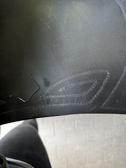 Sommer Brasilia, Sommer Brasilia, Nadine Eder-Knispel, Dressage Saddle, Schwendau, Image 7