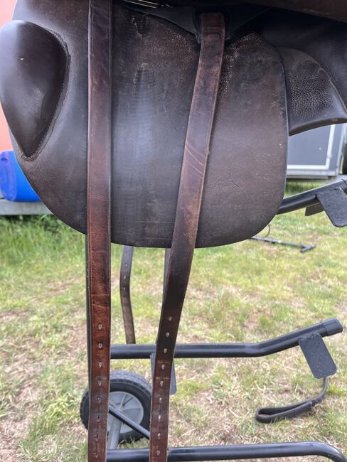 Sommer Marakesh 17 5, Sommer Marakesh, Natalie, Endurance Saddle, Wilschdorf, Image 7