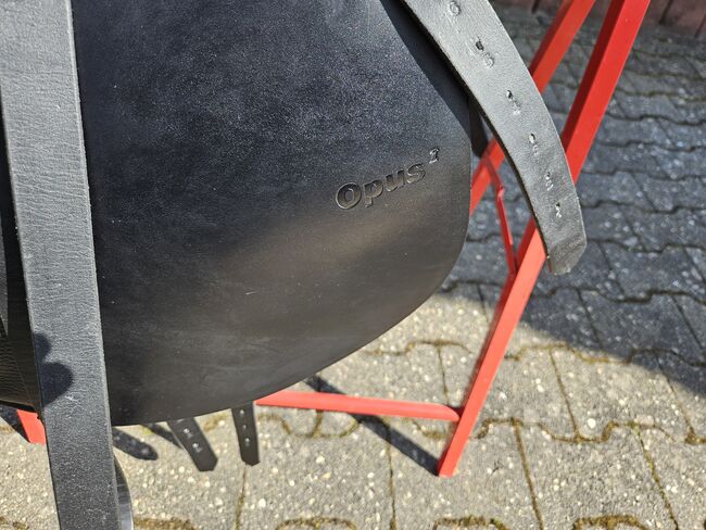 Sommer Opus I DS, Sommer  Opus I DS, Salim Makhlouf , Dressage Saddle, Münchwald , Image 3