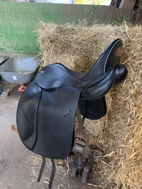 Sommer Remos Dolce, Sommer Remos Dolce, Gorenflo, Dressage Saddle, Karlsruhe, Image 5