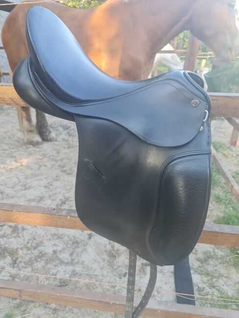 Sommer Remos Hagen, Sommer Remos Hagen , Nicole , Dressage Saddle, Blomberg, Image 3