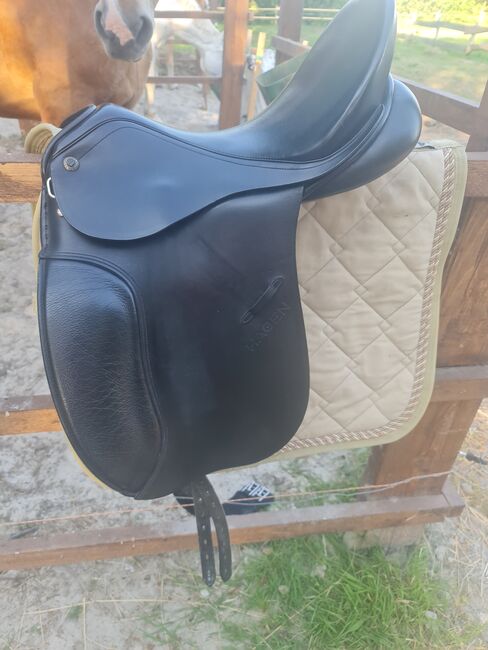 Sommer Remos Hagen, Sommer Remos Hagen , Nicole , Dressage Saddle, Blomberg, Image 7