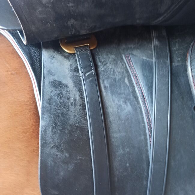 Sommer Evolution, Sommer Evolution, Sylvia Haneklaus, Endurance Saddle, Nordhorn, Image 2