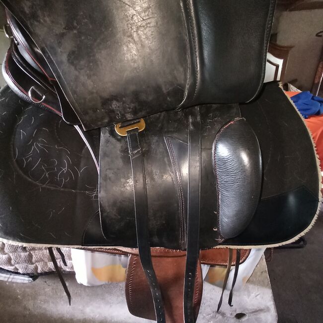 Sommer Evolution, Sommer Evolution, Sylvia Haneklaus, Endurance Saddle, Nordhorn, Image 10
