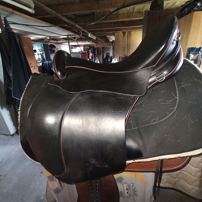 Sommer Evolution, Sommer Evolution, Sylvia Haneklaus, Endurance Saddle, Nordhorn, Image 11