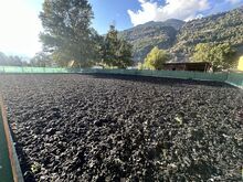 Textilschnitzel für Reitplatzboden – Softground ca. 8.8 t günstig, Marti + Partner GmbH Reitplatzbau Textilschnitzel, Michèle Göttier, Padok, Gamsen