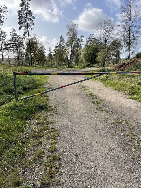 Zuchtstute Islandpferd, Fleur, Pferd kaufen, Heiligenkreuz im Lafnitztal, Abbildung 2