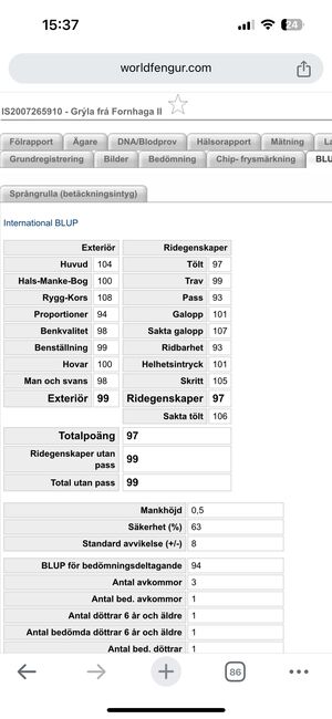 Zuchtstute Islandpferd, Fleur, Pferd kaufen, Heiligenkreuz im Lafnitztal, Abbildung 7