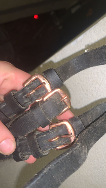 Zügel mit roségoldenen Verschlüssen, Freya, Sonstiges, Farschweiler