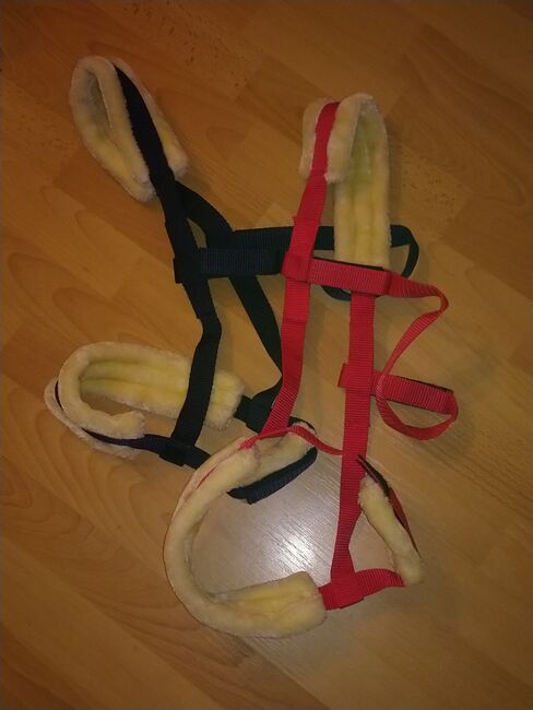 Reine Weide Halfter !, Andrea , Halters, iserlohn