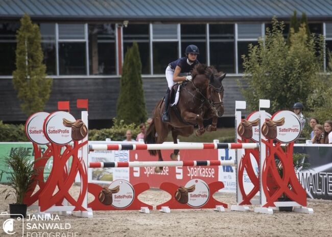 Zuverlässige Stute, welche aus jeder Lage springt, Chayenne Peters, Horses For Sale, Radolfzell , Image 2