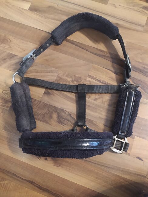 Schwarzes Halfter, Busse, Saskia , Halters, Neuhausen auf den Fildern