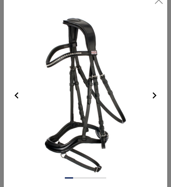 Schwarzes Zaumzeug, Claridge House Melbourne, Alina, Nosebands, Landskron