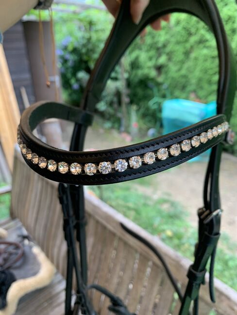 Schwarzes Zaumzeug, Claridge House Melbourne, Alina, Nosebands, Landskron, Image 5