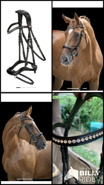 Schwarzes Zaumzeug, Claridge House Melbourne, Alina, Nosebands, Landskron, Image 6