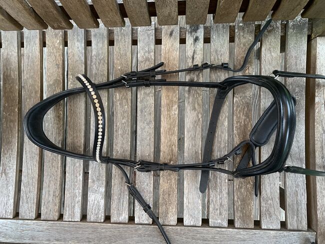 Schwarzes Zaumzeug, Claridge House Melbourne, Alina, Nosebands, Landskron, Image 2