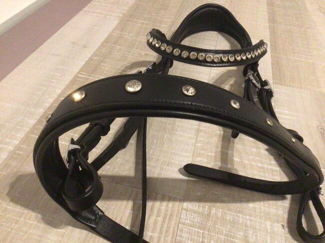 Schwarze Pony Trense Loesdau mit Zügeln, Loesdau , Harper McLean , Bridles & Headstalls, Nieder-Olm