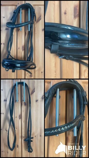 Schwedisch kombinierte Trense VB, Loesdau Trensenzaim Genf, Lena Krieter, Bridles & Headstalls, Garbsen, Image 6