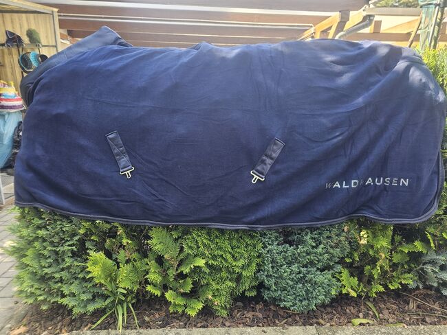 Abschwitzdecke 155, Waldhausen , Sophie , Horse Blankets, Sheets & Coolers, Bad Belzig