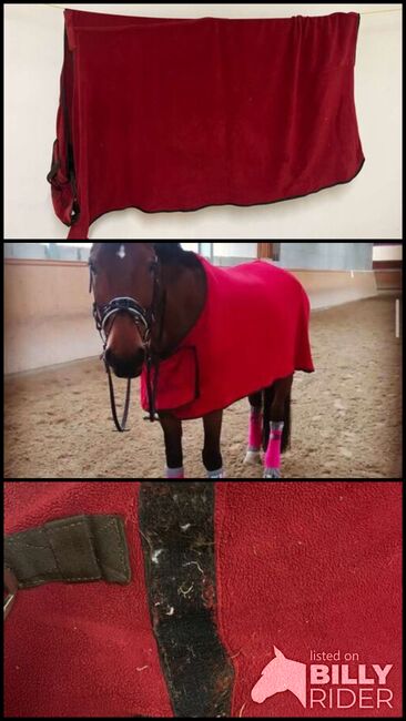 Abschwitzdecke 155cm, Felix Bühler, Jasmin, Horse Blankets, Sheets & Coolers, Leonding, Image 4