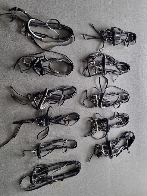 Abschwitzdecken, Stalldecken, Trensen, Fliegendecken, Busse eskadron , Denise , Horse Blankets, Sheets & Coolers, Lohne, Image 2